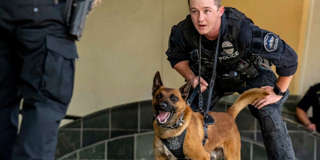 Brea K-9 officer Matt Wendling prepares to give his Belgian Malinois Kylo a command during a K-9 demonstration at the National Night Out in Brea Aug. 2, 2022.