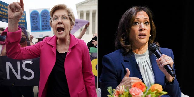 Vice President Kamala Harris briefly feuded with Sen.  Elizabeth Warren over a re-election endorsement snub.