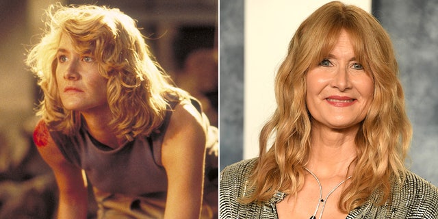 Laura Dern then and now split