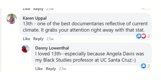 Judge Lowenthal wrote that he took a class with Angela Davis at the University of California, Santa Cruz.