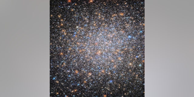 This image of M14 includes observations taken in ultraviolet, visible and near-infrared wavelengths of light. Astronomers used this data to better understand the formation and chemical makeup of different populations of stars that reside within this cluster.