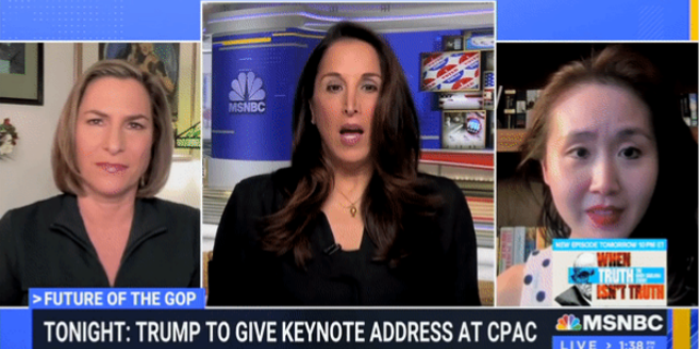 MSNBC host Yasmin Vossoughian was temporarily speechless after her Democratic guest called President Trump a 'serial rapist.'