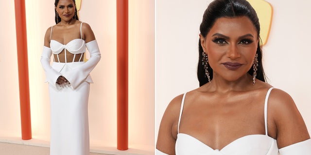 Mindy Kaling rocked Vera Wang on the red carpet at the Oscars.