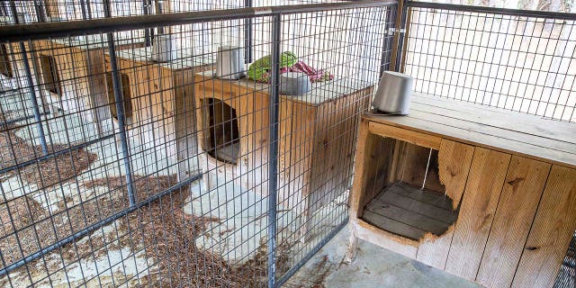 Dog kennels at the Murdaugh Moselle property on Wednesday, March 1, 2023 in Islandton.