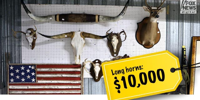 The Murdaughs' longhorn animal head mounts told for $10,000.