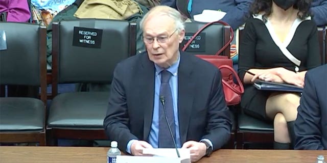 Former New York Times editor Nicholas Wade talks to the House Select Subcommittee on the Coronavirus Pandemic.