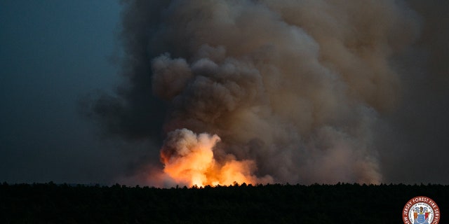 The forest fire burned for about eight hours in the Stafford Forge Wildlife Management Area in Little Egg Harbor Township, New Jersey, on Tuesday.