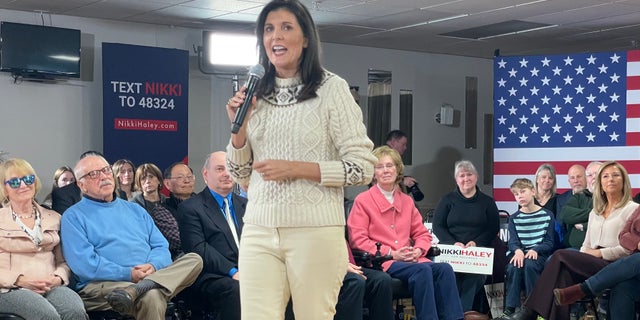 Nikki Haley in New Hampshire