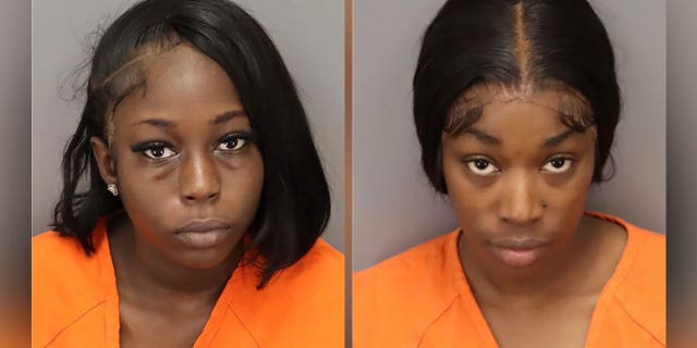 Florida police arrest two nursing home employees for abusing elderly residents: deputies 2 Aneisha Hall, left, and Rosa Edwards were arrested for allegedly abusing elderly residents at a nursing home in St. Petersburg, Florida.