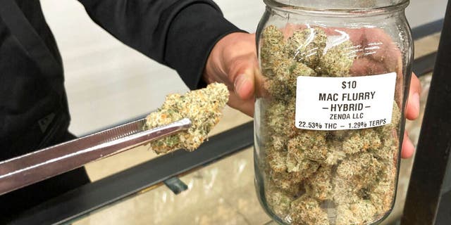 Ethan McKee, vice president of Mango Cannabis, displays marijuana flowers at a dispensary, Tuesday, Feb. 28, 2023, in Oklahoma City.