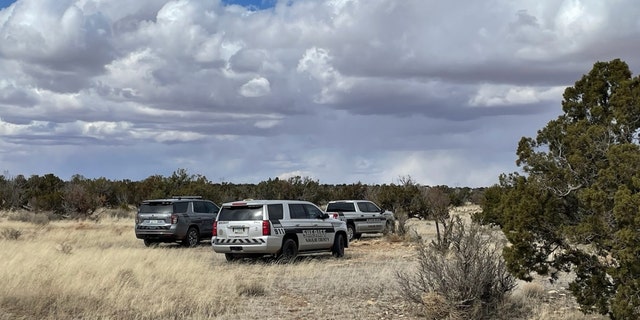 The Navajo County Sheriff’s Office immediately dispatched deputies, Navajo County Search and Rescue, Hashknife Sheriff’s Posse, Joseph City Fire, Holbrook EMS and the Arizona Department of Public Safety’s Air Rescue Unit (Ranger).