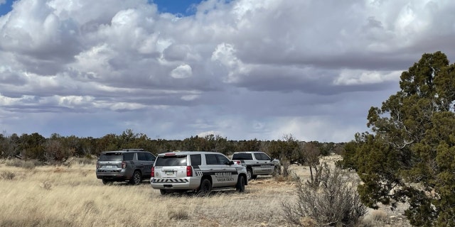 The Navajo County Sheriff’s Office immediately dispatched deputies, Navajo County Search and Rescue, Hashknife Sheriff’s Posse, Joseph City Fire, Holbrook EMS and the Arizona Department of Public Safety’s Air Rescue Unit (Ranger).