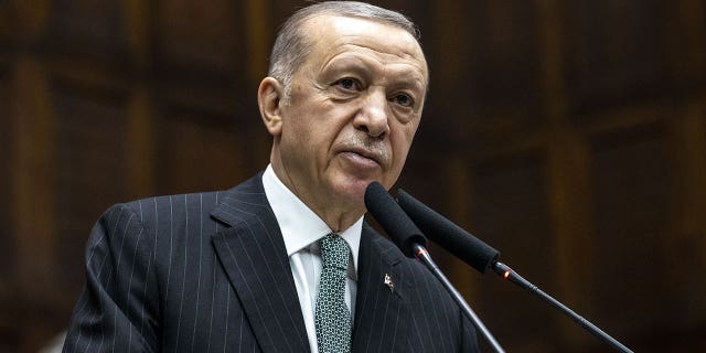 Turkish President Recep Tayyip Erdogan speaks during a meeting on March 01, 2023. Human rights lawyers are seeking a probe into allegations that Turkish authorities committed crimes against opponents of President Erdogan.