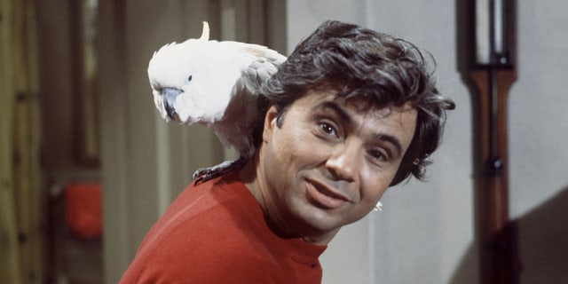 Blake was known for playing Detective Baretta, who lived with his cockatoo Fred in a hotel. 