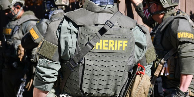 Sacramento sheriff's deputies
