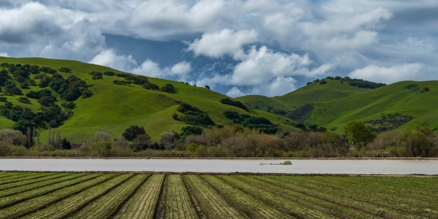 Floodwaters from the Salinas River fill agricultural fields in Spreckels, Calif., Monday, March 13, 2023.
