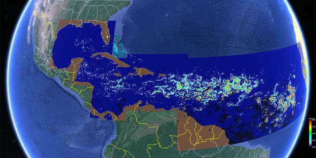 Satellite image showing how far the sargassum seaweed belt stretches