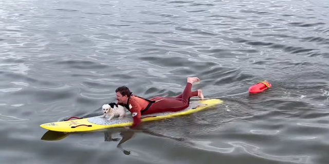 Marine Safety Officer Chase McColl saved a puppy who was stranded in the Pacific Ocean.