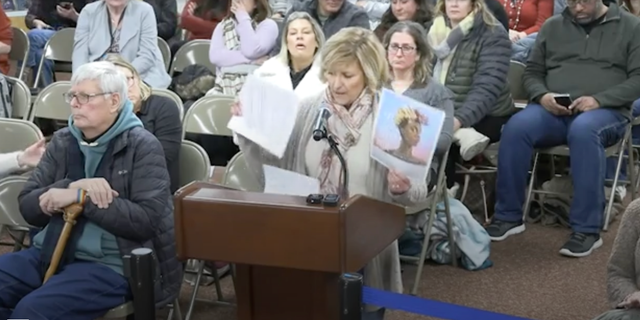 Speaker at Central Bucks School District applauded the district for focusing on "academic excellence" over "progressive activism."