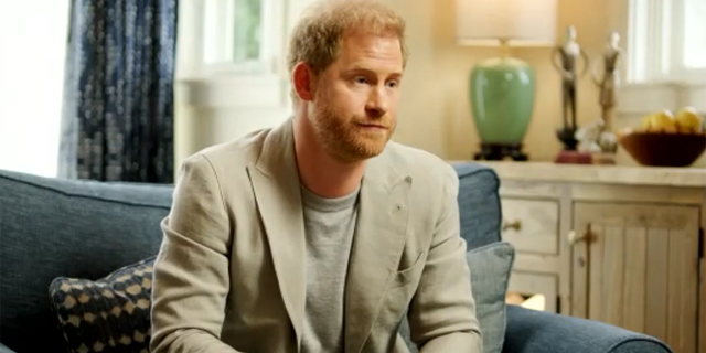 Prince Harry detailed his past traumas which included the death of his mother, Princess Diana.