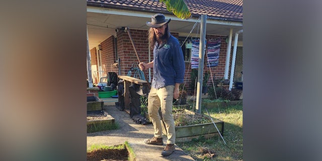 Un niño australiano que persigue a una pitón mortal lleva al descubrimiento de un nido de 110 huevos 7 El cazador de serpientes Ken Durant junto a montones de huevos de serpiente marrón del este en incubación en una casa en Sídney, Australia.