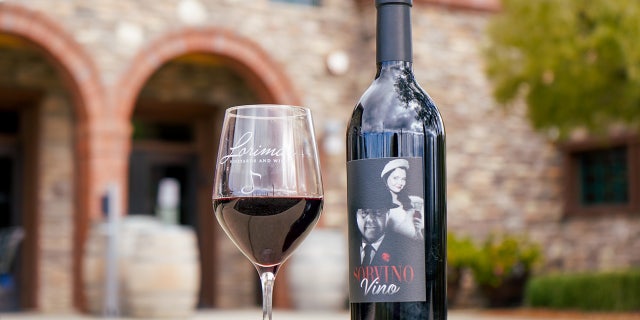 The couple's wine, Sorvino Vino, was launched on Valentine's Day.