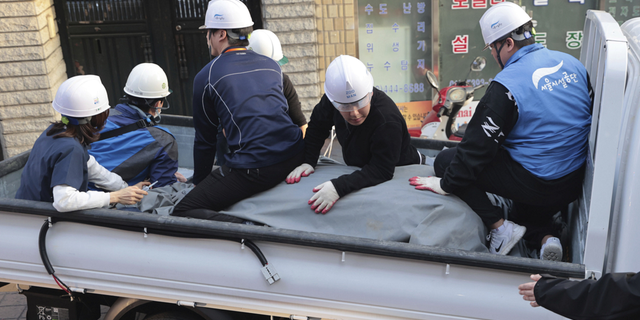 Authorities of Seoul Metropolitan Facilities Management Corporation transport the zebra following its capture Thursday.