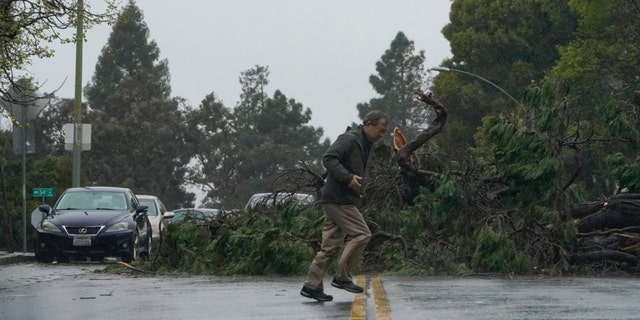 A tree downed by high winds blocks Webster Street in Oakland, California, on March 21, 2023. 