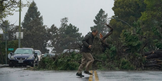 A tree downed by high winds blocks Webster Street in Oakland, California, on March 21, 2023. 