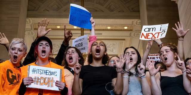 Protestors gather as they shout to end gun violence. 