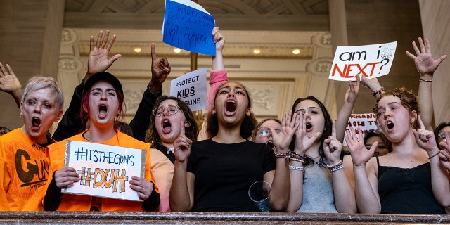 Protestors gather as they shout to end gun violence.