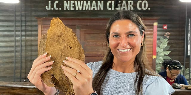 J.C. Newman is the last cigar-maker in Tampa. The Florida city was once the center of the cigar-making world, producing 500 million cigars each year. 