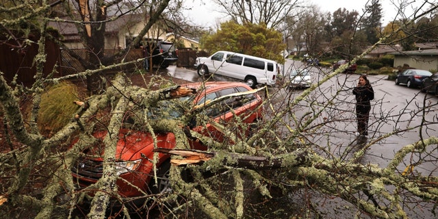 Amber Balog surveys the damage to a friend's vehicle, on March 21, 2023, after a saturated and wind-blown limb fell on Monte Verde Drive in Santa Rosa, California. No one was injured. 