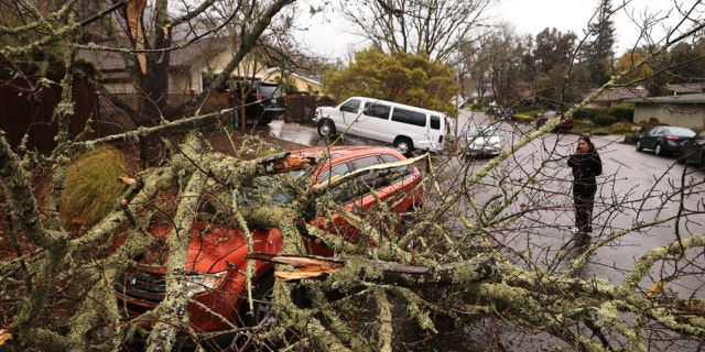 Amber Balog surveys the damage to a friend's vehicle, on March 21, 2023, after a saturated and wind-blown limb fell on Monte Verde Drive in Santa Rosa, California. No one was injured. 