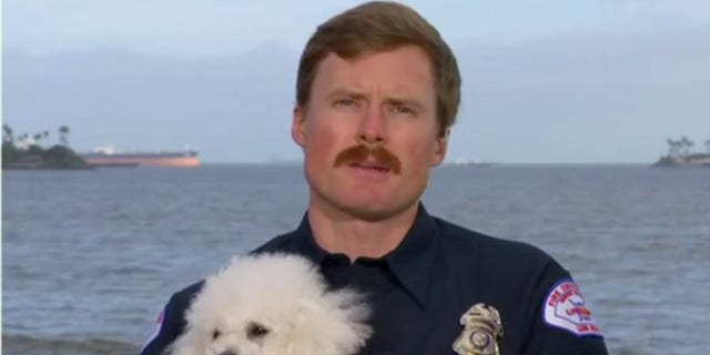 Chase McColl tells Tucker Carlson really he rescued Tofu from nan ocean.