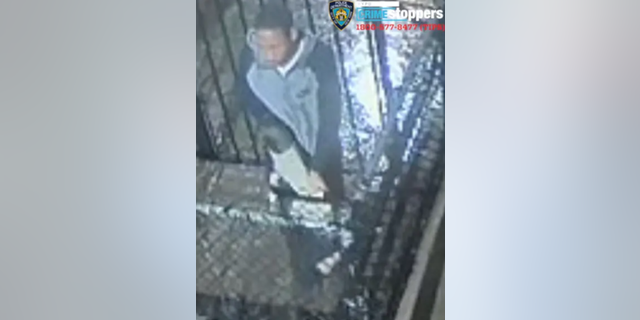 The rape suspect was caught on surveillance video throwing out his jacket, New York police say.