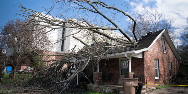 Un árbol cayó a través de una casa a lo largo de Meharry Blvd.  mientras el clima severo y los fuertes vientos soplaban en Nashville, Tennessee, el viernes 3 de marzo de 2023.