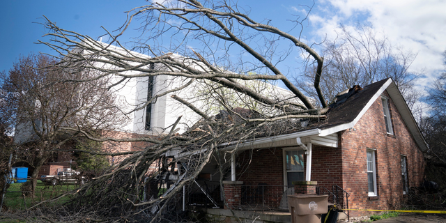 A tree fell through a house along Meharry Blvd. as severe weather and strong winds blew through Nashville, Tenn. Friday, March 3, 2023.