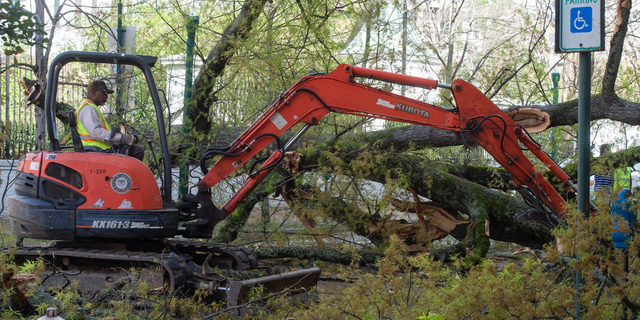 Los empleados de la ciudad de Jackson limpian un árbol caído de la propiedad en la mansión del gobernador en Jackson, Mississippi, el 3 de marzo de 2023. El árbol, derribado debido a fuertes vientos cuando el clima severo atravesó el estado el viernes, bloqueó la calle Congress y rompió un ventana en un edificio frente a la mansión.  Los fuertes vientos dejaron a miles de misisipienses sin electricidad.