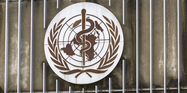 A logo is pictured at the World Health Organization (WHO) in Geneva, Switzerland, December 14, 2022.