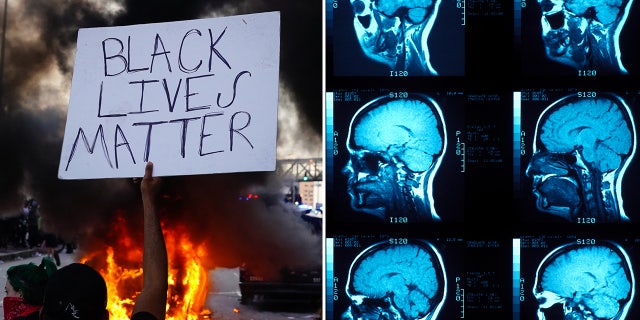 Yale's curriculum probed students to rage about social justice causes.