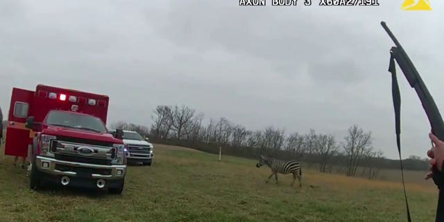 A zebra attacked a man in Ohio, nearly ripping his arm off.