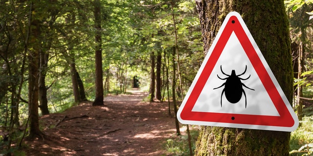 Tick sign in woods