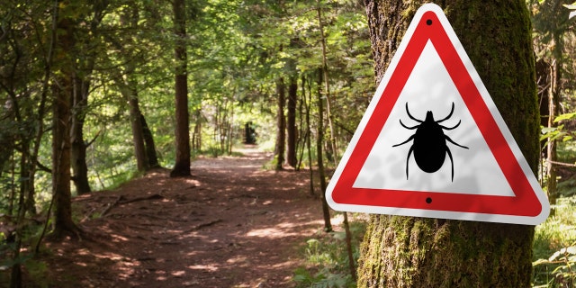 Tick sign in woods