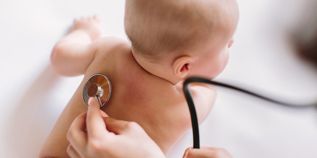 The new study highlights the importance of early developmental years in determining lifelong health, one doctor said.