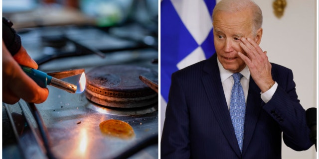 biden stoves