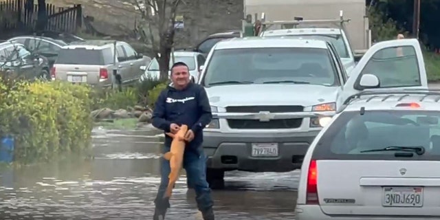 "He's going to have dinner tonight," Danielle Garcia says about man who caught fish in street floodwaters.