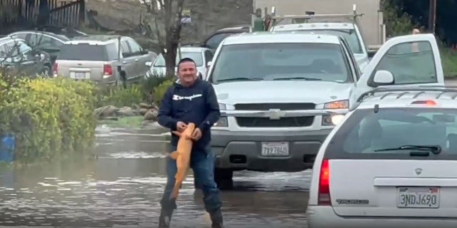 "He's going to have dinner tonight," Danielle Garcia says about man who caught fish in street floodwaters.