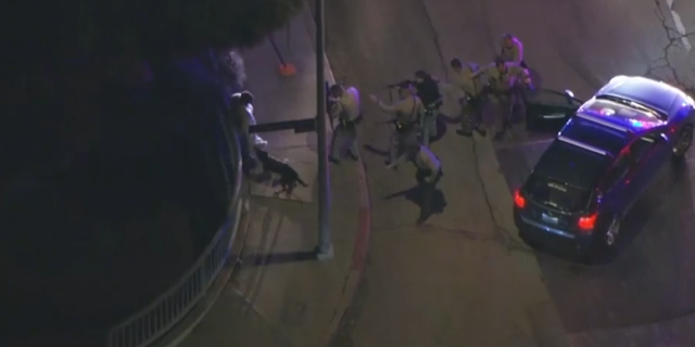 Helicopter video from FOX 11 Los Angeles shows a K-9 biting the suspect's sweater, eventually tugging it off.