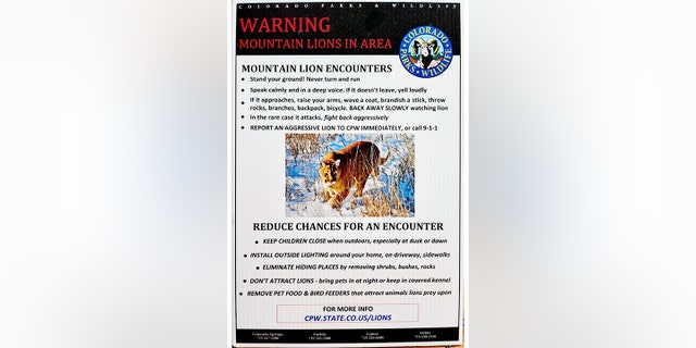 Colorado Parks and Wildlife shared this flyer about mountain lion encounters after a man was attacked sitting in a hot tub at a rental home.